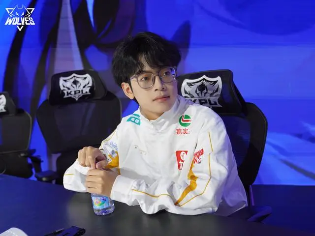 可能没有经, 但这就是狼