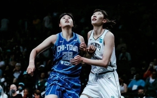 ZTovt, ibaBo ZTovt, ibaBo